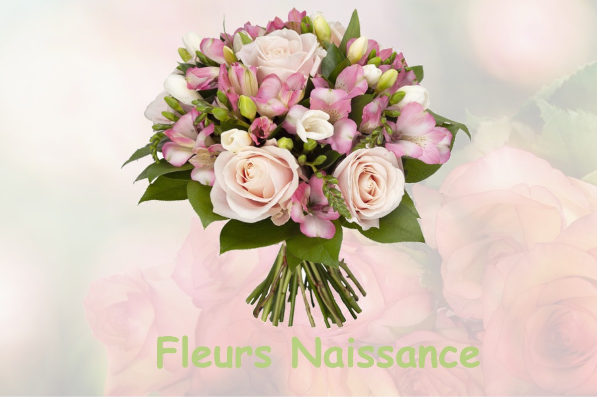 fleurs naissance BUVILLY