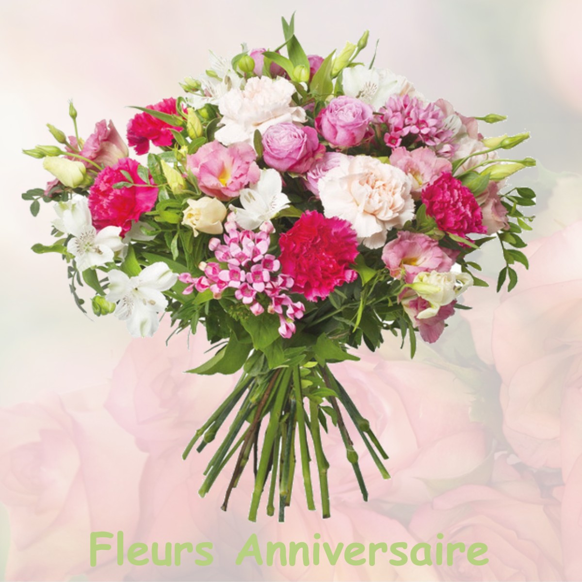 fleurs anniversaire BUVILLY