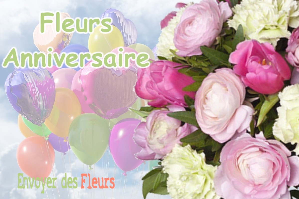 lIVRAISON FLEURS ANNIVERSAIRE à BUVILLY