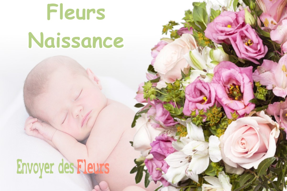 lIVRAISON FLEURS NAISSANCE à BUVILLY